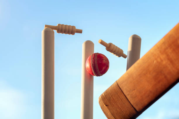 Understanding the impact of the toss on cricket betting outcomes