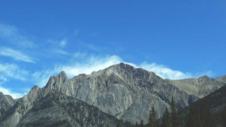 What Content Is Available On The 11Xplay Website?